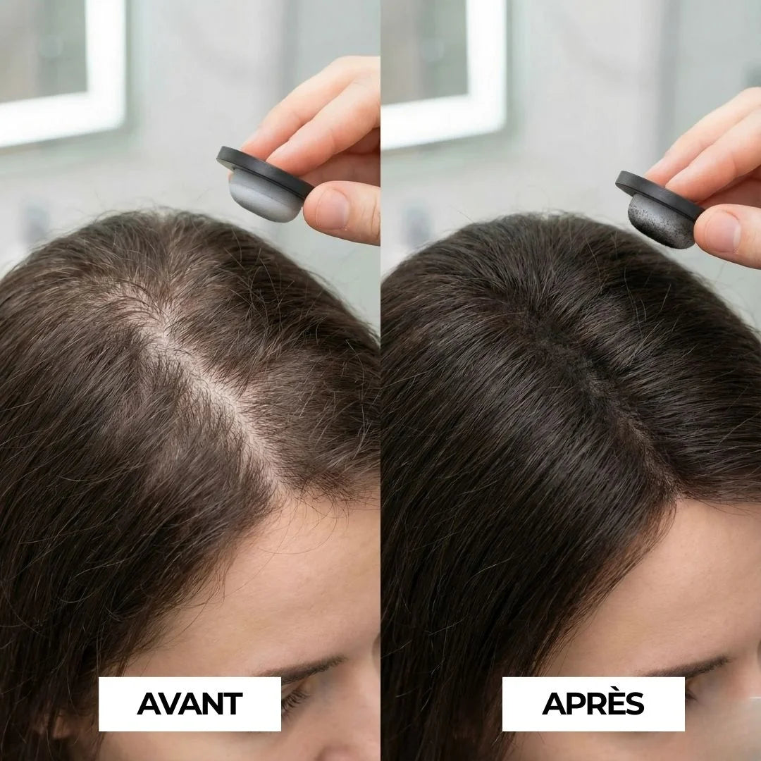 Le Correcteur de Densité