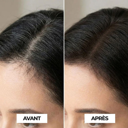 Le Poudrier Précision | Syllia