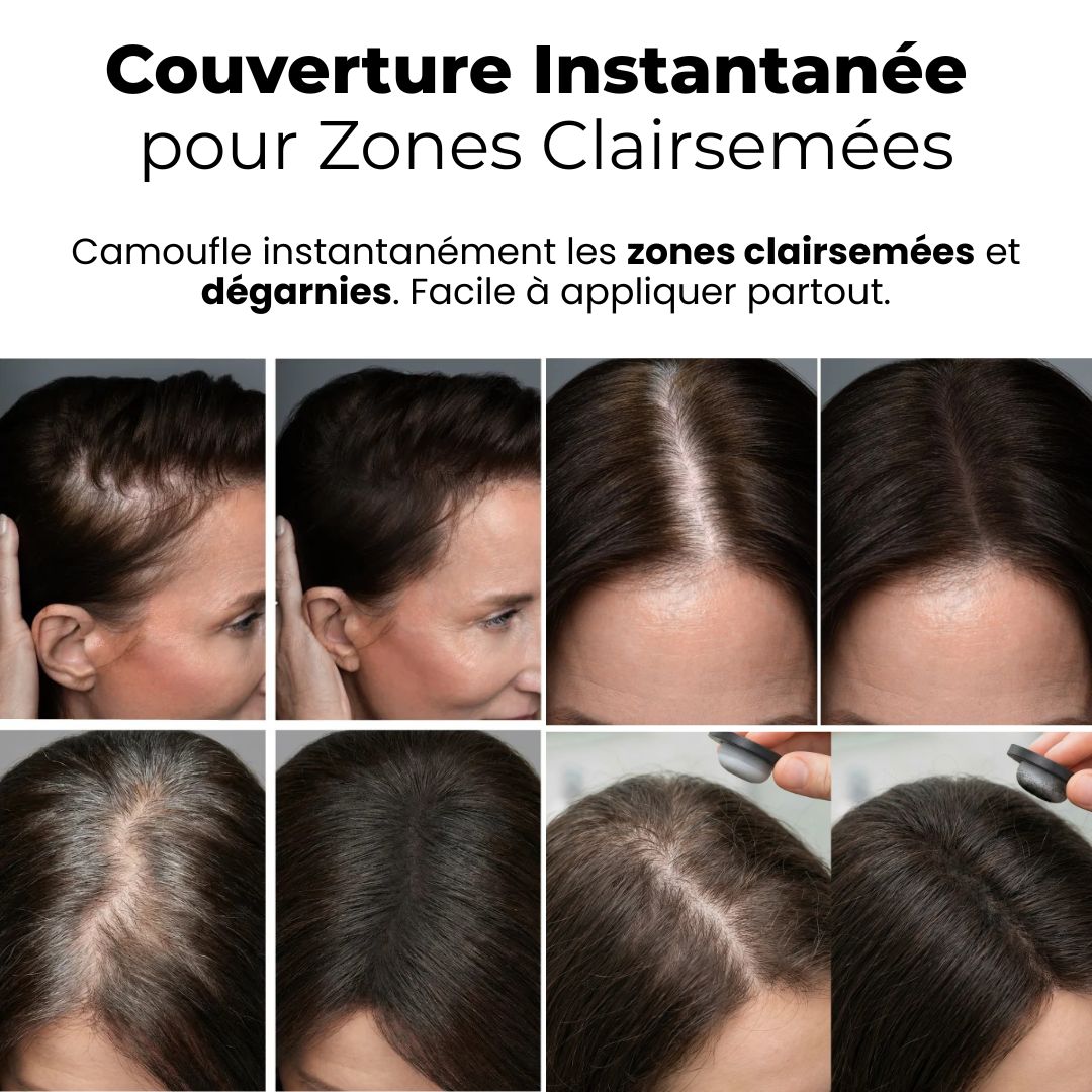 Le Correcteur de Densité